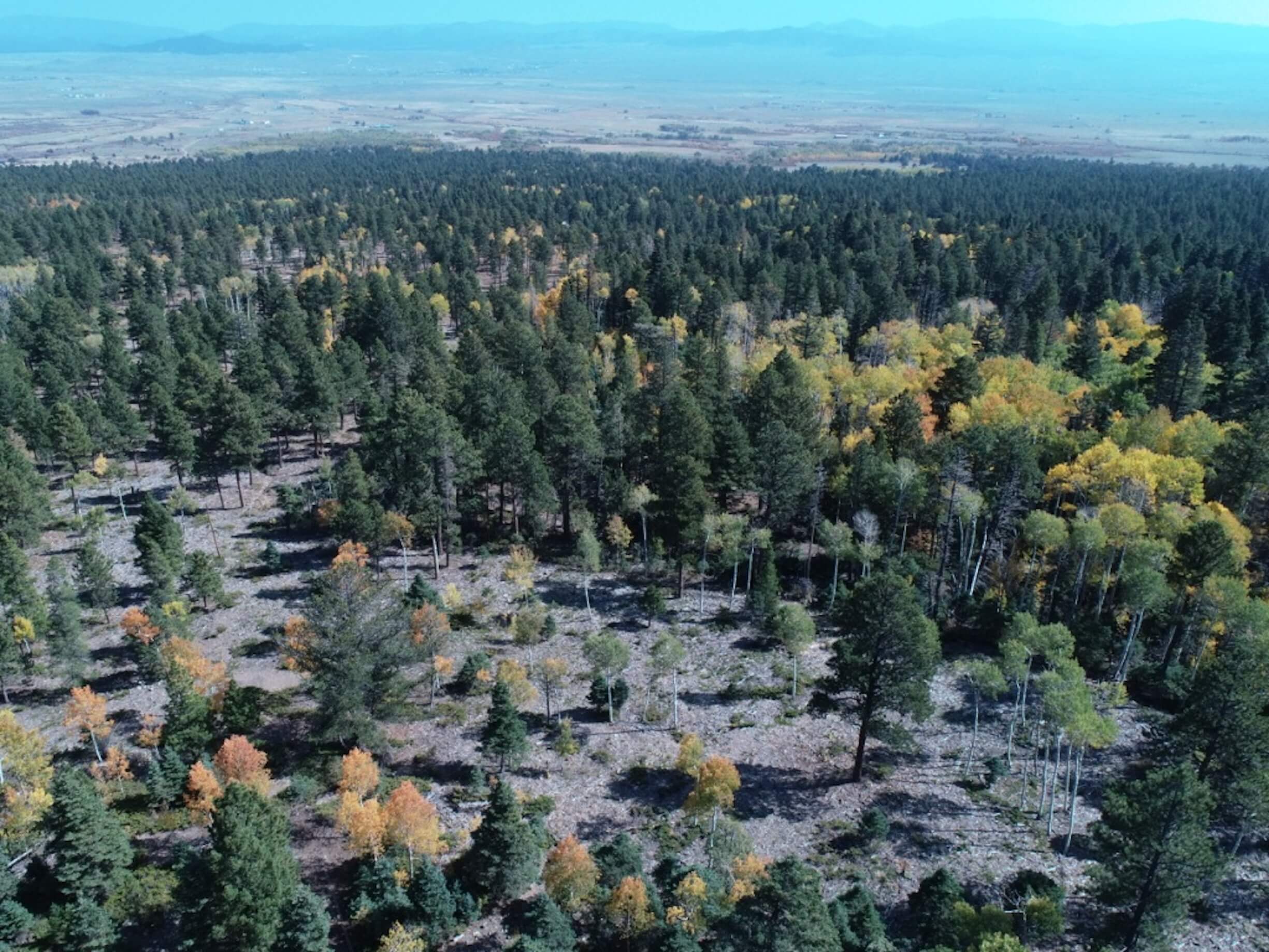 1_5_crushed_rock screened